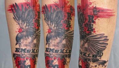 allstyle tattoo berlin ink miss nico trash style emskind bird vogel color colortattoo