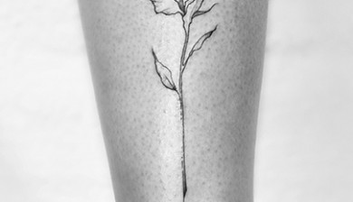 allstyle tattoo berlin ink katrin ingwersen flower blume linework filigran ladylike