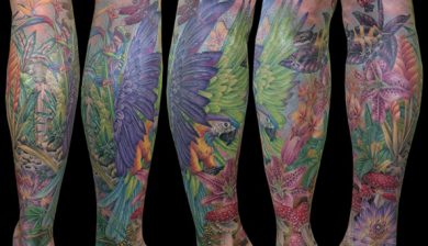 missnico allstyletattooberlin allstyletattoo germantattooers paradisetattoo rainforesttattoo jungletattoo floraandfauna colortattoo realistictattoo tattoorealistic colorrealism legtattoo parrottattoo papageitattoo beintattoo farbrealismus