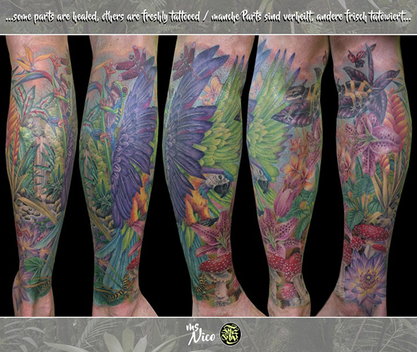 missnico allstyletattooberlin allstyletattoo germantattooers paradisetattoo rainforesttattoo jungletattoo floraandfauna colortattoo realistictattoo tattoorealistic colorrealism legtattoo parrottattoo papageitattoo beintattoo farbrealismus