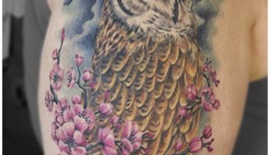 missnico allstyletattooberlin allstyletattoo owl eule owltattoo eulentattoo tattoorealistic colorrealism farbrealismus realistictattoo colortattoo tattoo ink tattooink cooltattoo besttattoos vollmondtattoo fullmoontattoo oberarmtattoo upperarmtattoo cherryblossomtattoo kirschblütentattoo berlintattoo tattooberlin