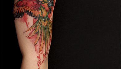 daniswaynetattoo daniswayne allstyletattooberlin allstyletattoo papageitattoo parrottattoo watercolortattoo aqauarelltattoo birdtattoo vogeltattoo colortattoo farbtattoo biceptattoo upperarmtattoo bizepstattoo oberarmtattoo girlswithtattoos inkforgirls animaltattoos