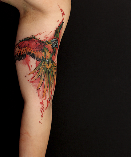 daniswaynetattoo daniswayne allstyletattooberlin allstyletattoo papageitattoo parrottattoo watercolortattoo aqauarelltattoo birdtattoo vogeltattoo colortattoo farbtattoo biceptattoo upperarmtattoo bizepstattoo oberarmtattoo girlswithtattoos inkforgirls animaltattoos