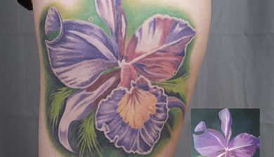 allstyletattoo allstyletattooberlin marclane marclanetattoo colortattoo farbtattoo colorrealismtattoo farbrealismustattoo farbrealismus schwertlilientattoo iristattoo schwertlilie iris flowertattoo #femaletattoo tattoo tattooberlin berlintattoo ink oberarmtattoo upperarmtattoo bizepstattoo bicepstattoo