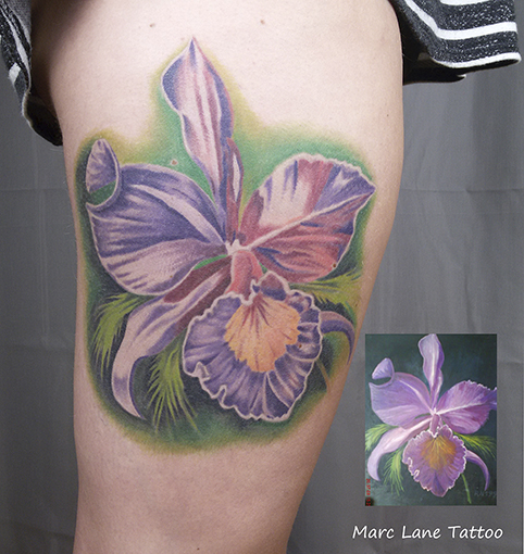 allstyletattoo allstyletattooberlin marclane marclanetattoo colortattoo farbtattoo colorrealismtattoo farbrealismustattoo farbrealismus schwertlilientattoo iristattoo schwertlilie iris flowertattoo #femaletattoo tattoo tattooberlin berlintattoo ink oberarmtattoo upperarmtattoo bizepstattoo bicepstattoo