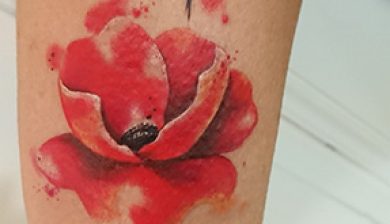 klatschmohn followup parttwo commonpoppy flowertattoo poppy poppytattoo nofilter flowers floral tattoo tattooberlin berlin poppyflowertattoo allstyletattooberlin allstyletattoo sajosuriel sajo sajotattoo aquarell aquarelltattoo watercolortattoo watercolor watercolortattooartist wasserfarbentattoo mohn mohnblume mohntattoo girlswithtattoos girlietattoo