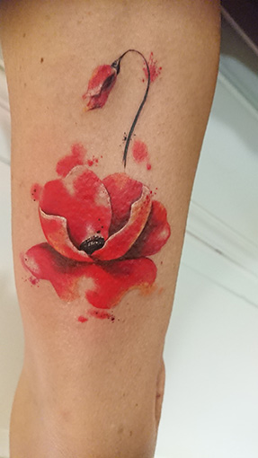 klatschmohn followup parttwo commonpoppy flowertattoo poppy poppytattoo nofilter flowers floral tattoo tattooberlin berlin poppyflowertattoo allstyletattooberlin allstyletattoo sajosuriel sajo sajotattoo aquarell aquarelltattoo watercolortattoo watercolor watercolortattooartist wasserfarbentattoo mohn mohnblume mohntattoo girlswithtattoos girlietattoo