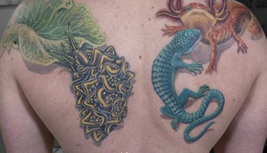 missnicotattoo missnico allstyletattooberlin allstyletattoo berlintattoo tattooberlin axolotltattoo axolotl seasnails seasnailtattoo backtattoo backpiece realistictattoo tattoorealistic colorrealism colorrealistictattoo strangecreaturesoftheworld kauzigetiere nicetattoo besttattoo colortattoo instatattoo berlintattoo tattoospirit tattooberlin germantattooers farbrealismus farbrealistischestattoo