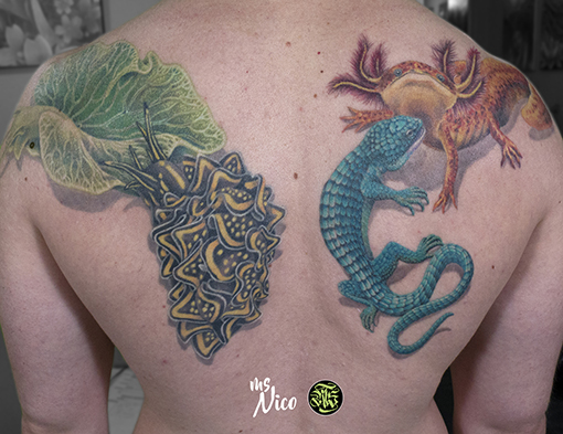 missnicotattoo missnico allstyletattooberlin allstyletattoo berlintattoo tattooberlin axolotltattoo axolotl seasnails seasnailtattoo backtattoo backpiece realistictattoo tattoorealistic colorrealism colorrealistictattoo strangecreaturesoftheworld kauzigetiere nicetattoo besttattoo colortattoo instatattoo berlintattoo tattoospirit tattooberlin germantattooers farbrealismus farbrealistischestattoo