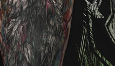 daniswaynetattoo daniswayne allstyletattooberlin allstyletattoo birdtattoo vogeltattoo oberarmtattoo upperarmtattoo watercolortattoo realistictattoo berlintattooer berlintattoo tattooberlin crackeule aquarelltattoo