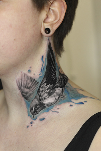 daniswaynetattoo daniswayne allstyletattooberlin allstyletattoo birdtattoo vogeltattoo watercolortattoo graphictattoo graphicwatercolortattoo animaltattoos tiertattoos berlintattooers berlintattooartists ink tattooberlin