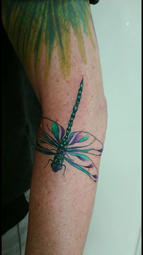 dragonfly nofilter dragonflytattoo watercolortattoo watercolor aquarell aquarelltattoo allstyletattoo allstyletattooberlin sajosuriel sajo sajotattoo tattoo wasserfarbentattoo insect tattoovideo insecttattoo libelle libellentattoo naturesbeauty naturelover colortattoo unterarmtattoo forearmtattoo smalltatts
