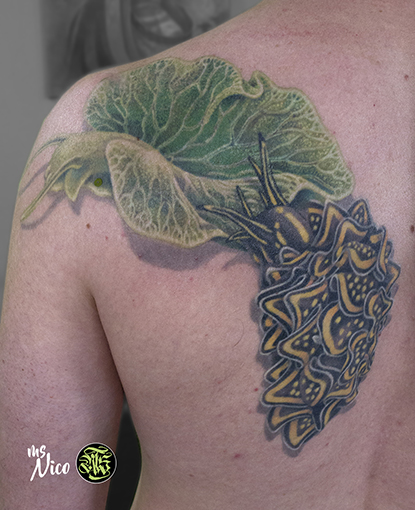 missnicotattoo missnico allstyletattooberlin allstyletattoo berlintattoo tattooberlin axolotltattoo axolotl seasnails seasnailtattoo backtattoo backpiece realistictattoo tattoorealistic colorrealism colorrealistictattoo strangecreaturesoftheworld kauzigetiere nicetattoo besttattoo colortattoo instatattoo berlintattoo tattoospirit tattooberlin germantattooers farbrealismus farbrealistischestattoo