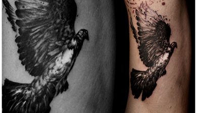 daniswaynetattoo daniswayne allstyletattooberlin allstyletattoo birdtattoos birdsofinstagram vogeltattoos pidgeontattoo taubentattoo raventattoo rabentattoo colorrealistictattoo colorrealism farbrealismus realistischetattoos innerarmtattoos innenarmtattoos rumgevögel birdsofswayne