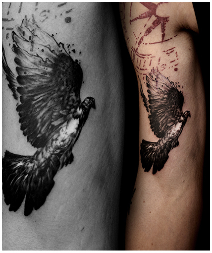 daniswaynetattoo daniswayne allstyletattooberlin allstyletattoo birdtattoos birdsofinstagram vogeltattoos pidgeontattoo taubentattoo raventattoo rabentattoo colorrealistictattoo colorrealism farbrealismus realistischetattoos innerarmtattoos innenarmtattoos rumgevögel birdsofswayne