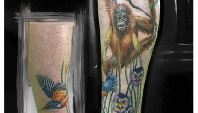 missnicotattoo missnico allstyletattooberlin monkey monkeytattoo kingfisher kingfishertattoo unterschenkeltattoo wadentattoo lowerlegtattoo calftattoo allstyletattoo tattoo berlin berlintattoo tattooberlin fkirons eternalink realistictattoo tattoorealistic nicetattoo besttattoo colortattoo eisvogeltattoo colorrealistictattoo farbrealismus colorrealism instatattoo